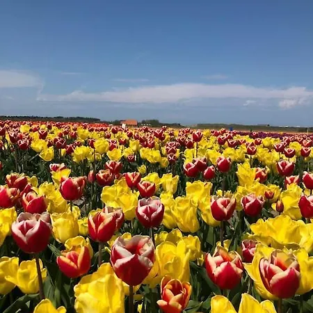 Meno Mosso Vakantiehuis Sint Maartensvlotbrug