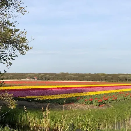 Meno Mosso Sint Maartensvlotbrug