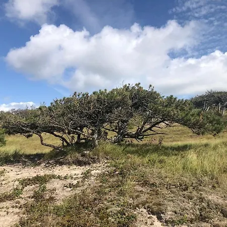 Meno Mosso Prázdninový dům