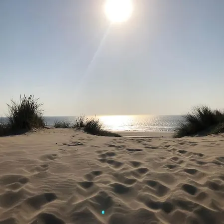 Meno Mosso * Sint Maartensvlotbrug