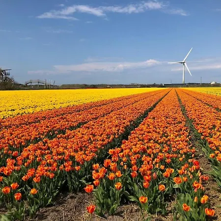 Meno Mosso Σπίτι διακοπών *